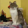 Отзыв от Наталия Анисимова